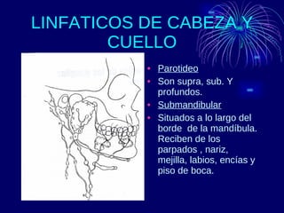 LINFATICOS DE CABEZA Y CUELLO Parotideo Son supra, sub. Y profundos. Submandibular Situados a lo largo del borde  de la mandíbula. Reciben de los parpados , nariz, mejilla, labios, encías y piso de boca. 