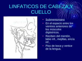 LINFATICOS DE CABEZA Y CUELLO Submentoniano En el espacio entre los vientres anteriores de los músculos digástricos. Reciben del mentón, labio inf., mejillas, encía inf.,  Piso de boca y vertice de la lengua. 