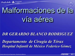 Malformaciones de la
      vía aérea
DR GERARDO BLANCO RODRIGUEZ
Departamento de Cirugía de Tórax
Hospital Infantil de México Federico Gómez
 