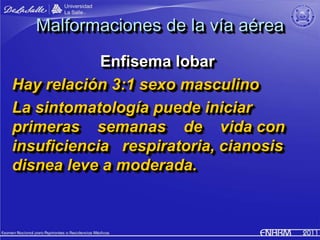 Malformaciones de la vía aérea
            Enfisema lobar
Hay relación 3:1 sexo masculino
La sintomatología puede iniciar
...