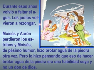 Durante esos años
volvió a faltar el a-
gua. Los judíos vol-
vieron a rezongar.
Moisés y Aarón
perdieron los es-
tribos y Moisés,
de pésimo humor, hizo brotar agua de la piedra
otra vez. Pero lo hizo pensando que eso de hacer
brotar agua de la piedra era una habilidad suya y
no un don de dios.
 