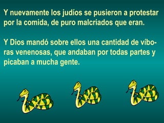 Y nuevamente los judíos se pusieron a protestar
por la comida, de puro malcriados que eran.
Y Dios mandó sobre ellos una cantidad de víbo-
ras venenosas, que andaban por todas partes y
picaban a mucha gente.
 