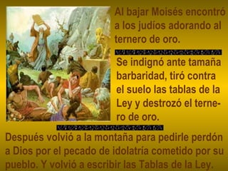 Al bajar Moisés encontró
a los judíos adorando al
ternero de oro.
Se indignó ante tamaña
barbaridad, tiró contra
el suelo las tablas de la
Ley y destrozó el terne-
ro de oro.
Después volvió a la montaña para pedirle perdón
a Dios por el pecado de idolatría cometido por su
pueblo. Y volvió a escribir las Tablas de la Ley.
 