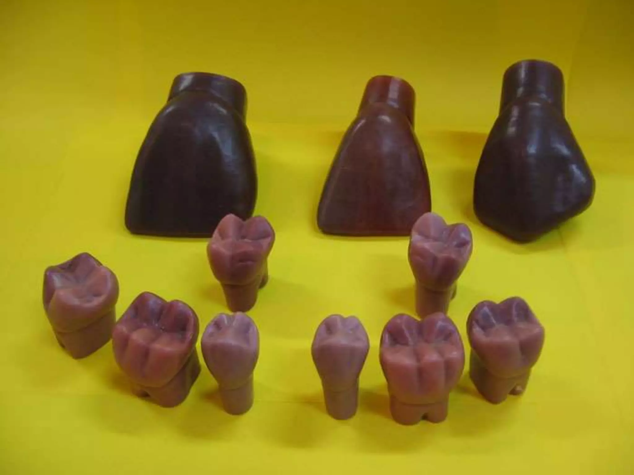 10 Maxillary First Second Third Molars