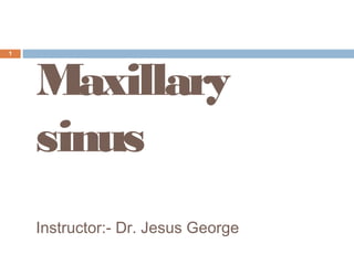 Maxillary
sinus
Instructor:- Dr. Jesus George
1
 
