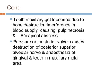 Cont.
15
Teeth maxillary get loosened due to
bone destruction interference in
blood supply causing pulp necrosis
& A/c apical abscess.
Pressure on posterior valve causes
destruction of posterior superior
alveolar nerve & anaesthesia of
gingival & teeth in maxillary molar
area
 
