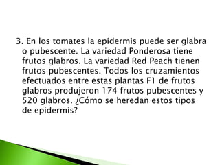 3. En los tomates la epidermis puede ser glabra
 o pubescente. La variedad Ponderosa tiene
 frutos glabros. La variedad Red Peach tienen
 frutos pubescentes. Todos los cruzamientos
 efectuados entre estas plantas F1 de frutos
 glabros produjeron 174 frutos pubescentes y
 520 glabros. ¿Cómo se heredan estos tipos
 de epidermis?
 
