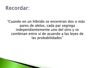 “Cuando en un híbrido se encentran dos o más
      pares de alelos, cada par segrega
    independientemente uno del otro y se
  combinan entre sí de acuerdo a las leyes de
             las probabilidades”
 