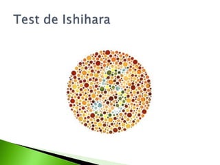 10. mendel y el concepto del gen