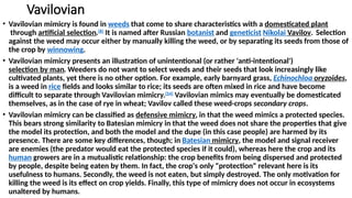 Vavilovian
• Vavilovian mimicry is found in weeds that come to share characteristics with a domesticated plant
through artificial selection.[8]
It is named after Russian botanist and geneticist Nikolai Vavilov. Selection
against the weed may occur either by manually killing the weed, or by separating its seeds from those of
the crop by winnowing.
• Vavilovian mimicry presents an illustration of unintentional (or rather 'anti-intentional')
selection by man. Weeders do not want to select weeds and their seeds that look increasingly like
cultivated plants, yet there is no other option. For example, early barnyard grass, Echinochloa oryzoides,
is a weed in rice fields and looks similar to rice; its seeds are often mixed in rice and have become
difficult to separate through Vavilovian mimicry.[54]
Vavilovian mimics may eventually be domesticated
themselves, as in the case of rye in wheat; Vavilov called these weed-crops secondary crops.
• Vavilovian mimicry can be classified as defensive mimicry, in that the weed mimics a protected species.
This bears strong similarity to Batesian mimicry in that the weed does not share the properties that give
the model its protection, and both the model and the dupe (in this case people) are harmed by its
presence. There are some key differences, though; in Batesian mimicry, the model and signal receiver
are enemies (the predator would eat the protected species if it could), whereas here the crop and its
human growers are in a mutualistic relationship: the crop benefits from being dispersed and protected
by people, despite being eaten by them. In fact, the crop's only "protection" relevant here is its
usefulness to humans. Secondly, the weed is not eaten, but simply destroyed. The only motivation for
killing the weed is its effect on crop yields. Finally, this type of mimicry does not occur in ecosystems
unaltered by humans.
 