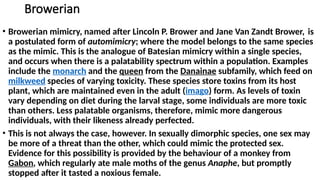 Browerian
• Browerian mimicry, named after Lincoln P. Brower and Jane Van Zandt Brower, is
a postulated form of automimicry; where the model belongs to the same species
as the mimic. This is the analogue of Batesian mimicry within a single species,
and occurs when there is a palatability spectrum within a population. Examples
include the monarch and the queen from the Danainae subfamily, which feed on
milkweed species of varying toxicity. These species store toxins from its host
plant, which are maintained even in the adult (imago) form. As levels of toxin
vary depending on diet during the larval stage, some individuals are more toxic
than others. Less palatable organisms, therefore, mimic more dangerous
individuals, with their likeness already perfected.
• This is not always the case, however. In sexually dimorphic species, one sex may
be more of a threat than the other, which could mimic the protected sex.
Evidence for this possibility is provided by the behaviour of a monkey from
Gabon, which regularly ate male moths of the genus Anaphe, but promptly
stopped after it tasted a noxious female.
 