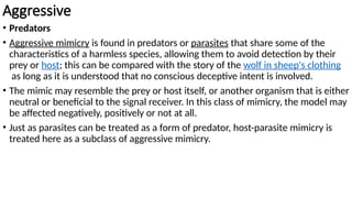 Aggressive
• Predators
• Aggressive mimicry is found in predators or parasites that share some of the
characteristics of a harmless species, allowing them to avoid detection by their
prey or host; this can be compared with the story of the wolf in sheep's clothing
as long as it is understood that no conscious deceptive intent is involved.
• The mimic may resemble the prey or host itself, or another organism that is either
neutral or beneficial to the signal receiver. In this class of mimicry, the model may
be affected negatively, positively or not at all.
• Just as parasites can be treated as a form of predator, host-parasite mimicry is
treated here as a subclass of aggressive mimicry.
 