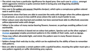 • The mimic may have a particular significance for duped prey. One such case is spiders, amongst
which aggressive mimicry is quite common both in luring prey and disguising stealthily
approaching predators.
• One case is the golden orb weaver (Nephila clavipes), which spins a conspicuous golden colored
web in well-lit areas.
• Experiments show that bees are able to associate the webs with danger when the yellow pigment
is not present, as occurs in less well-lit areas where the web is much harder to see.
• Other colours were also learned and avoided, but bees seemed least able to effectively associate
yellow-pigmented webs with danger.
• Yellow is the colour of many nectar-bearing flowers, however, so perhaps avoiding yellow is not
worthwhile.
• Another form of mimicry is based not on colour but pattern. Species such as the silver argiope (
Argiope argentata) employ prominent patterns in the middle of their webs, such as zigzags.
• These may reflect ultraviolet light, and mimic the pattern seen in many flowers known as
nectar guides.
• Spiders change their web day to day, which can be explained by the ability of bees to remember
web patterns.
• Bees are able to associate a certain pattern with a spatial location, meaning the spider must spin a
new pattern regularly or suffer diminishing prey capture.
 