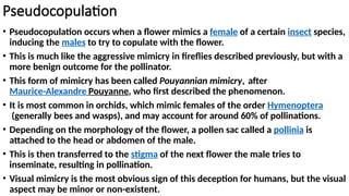Pseudocopulation
• Pseudocopulation occurs when a flower mimics a female of a certain insect species,
inducing the males to try to copulate with the flower.
• This is much like the aggressive mimicry in fireflies described previously, but with a
more benign outcome for the pollinator.
• This form of mimicry has been called Pouyannian mimicry, after
Maurice-Alexandre Pouyanne, who first described the phenomenon.
• It is most common in orchids, which mimic females of the order Hymenoptera
(generally bees and wasps), and may account for around 60% of pollinations.
• Depending on the morphology of the flower, a pollen sac called a pollinia is
attached to the head or abdomen of the male.
• This is then transferred to the stigma of the next flower the male tries to
inseminate, resulting in pollination.
• Visual mimicry is the most obvious sign of this deception for humans, but the visual
aspect may be minor or non-existent.
 