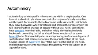 Automimicry
• Automimicry or intraspecific mimicry occurs within a single species. One
form of such mimicry is where one part of an organism's body resembles
another part. For example, the tails of some snakes resemble their heads;
they move backwards when threatened and present the predator with the
tail, improving their chances of escape without fatal harm. Some fishes
have eyespots near their tails, and when mildly alarmed swim slowly
backwards, presenting the tail as a head. Some insects such as some
lycaenidbutterflies have tail patterns and appendages of various degrees of
sophistication that promote attacks at the rear rather than at the head.
Several species of pygmy owl bear "false eyes" on the back of the head,
misleading predators into reacting as though they were the subject of an
aggressive stare.
 