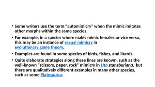 • Some writers use the term "automimicry" when the mimic imitates
other morphs within the same species.
• For example, in a species where males mimic females or vice versa,
this may be an instance of sexual mimicry in
evolutionary game theory.
• Examples are found in some species of birds, fishes, and lizards.
• Quite elaborate strategies along these lines are known, such as the
well-known "scissors, paper, rock" mimicry in Uta stansburiana, but
there are qualitatively different examples in many other species,
such as some Platysaurus.
 