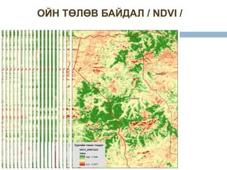 ОЙН ТӨЛӨВ БАЙДАЛ / NDVI /
 