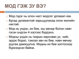 МОД ГЭЖ ЗУ ВЭ?
   Мод гэдэг нь олон наст модлог ургамал юм.
   Бусад ургамалтай харьцуулахад олон жилийн
    настай.
   Мод нь үндэс, их бие, иш мөчир болон навч
    гэсэн үндсэн 4 хэсгээс бүрдэнэ.
   Модны үндэс нь газрын хөрснөөс ус, чийг,
    эрдэс бодис, тэжээл авч их бие, навч мөчир
    руугаа дамжуулна. Модны их бие холтосоор
    бүрхэгдсэн байна.
 