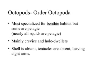 Octopods- Order Octopoda
• Most specialized for benthic habitat but
some are pelagic
(nearly all squids are pelagic)
• Mainly crevice and hole-dwellers
• Shell is absent, tentacles are absent, leaving
eight arms.
 