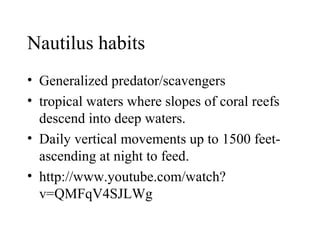 Nautilus habits
• Generalized predator/scavengers
• tropical waters where slopes of coral reefs
descend into deep waters.
• Daily vertical movements up to 1500 feet-
ascending at night to feed.
• http://www.youtube.com/watch?
v=QMFqV4SJLWg
 