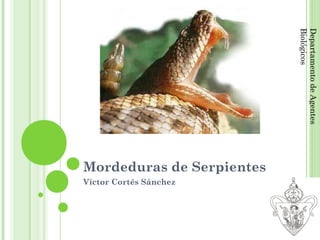 Biológicos
                           Departamento de Agentes
Mordeduras de Serpientes
Víctor Cortés Sánchez
 