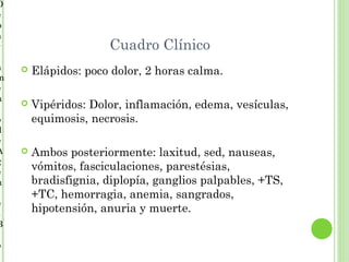 D
e
p
a
r                     Cuadro Clínico
a      Elápidos: poco dolor, 2 horas calma.
m
e
n
       Vipéridos: Dolor, inflamación, edema, vesículas,
o       equimosis, necrosis.
d
e
A      Ambos posteriormente: laxitud, sed, nauseas,
g
e
        vómitos, fasciculaciones, parestésias,
n       bradisfignia, diplopía, ganglios palpables, +TS,
        +TC, hemorragia, anemia, sangrados,
e
s
        hipotensión, anuria y muerte.
B

o
 