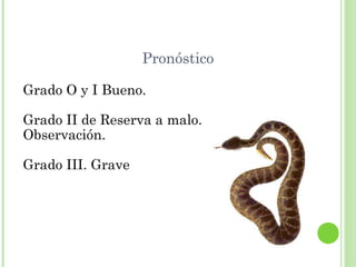 Pronóstico

Grado O y I Bueno.

Grado II de Reserva a malo.
Observación.

Grado III. Grave
 