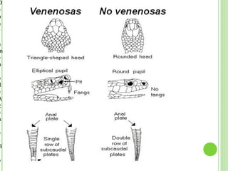 D
e
p
a
r

a
m
e
n

o
d
e
A
g
e
n

e
s
B

o
 