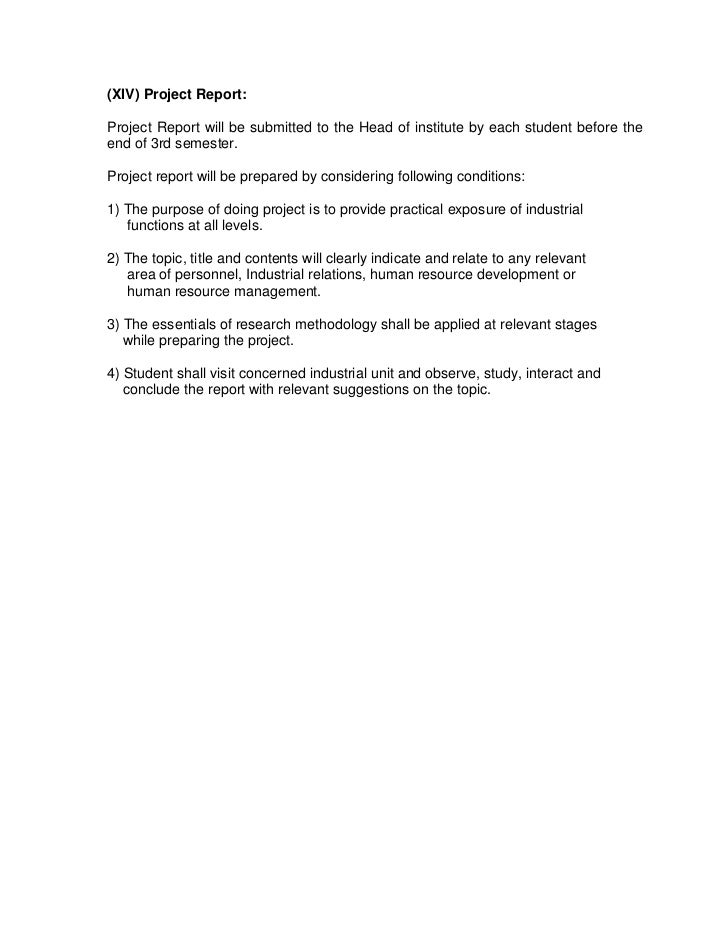 essay my new school garden