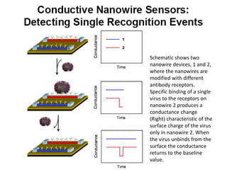 Schematic shows two 
nanowire devices, 1 and 2, 
where the nanowires are 
modified with different 
antibody receptors. 
Specific binding of a single 
virus to the receptors on 
nanowire 2 produces a 
conductance change 
(Right) characteristic of the 
surface charge of the virus 
only in nanowire 2. When 
the virus unbinds from the 
surface the conductance 
returns to the baseline 
value. 
 