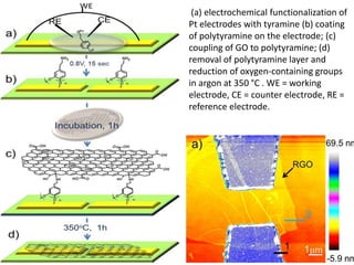 (a) electrochemical functionalization of 
Pt electrodes with tyramine (b) coating 
of polytyramine on the electrode; (c) 
coupling of GO to polytyramine; (d) 
removal of polytyramine layer and 
reduction of oxygen-containing groups 
in argon at 350 °C . WE = working 
electrode, CE = counter electrode, RE = 
reference electrode. 
 