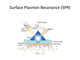 Surface Plasmon Resonance (SPR) 
 