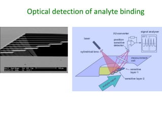 Optical detection of analyte binding 
 