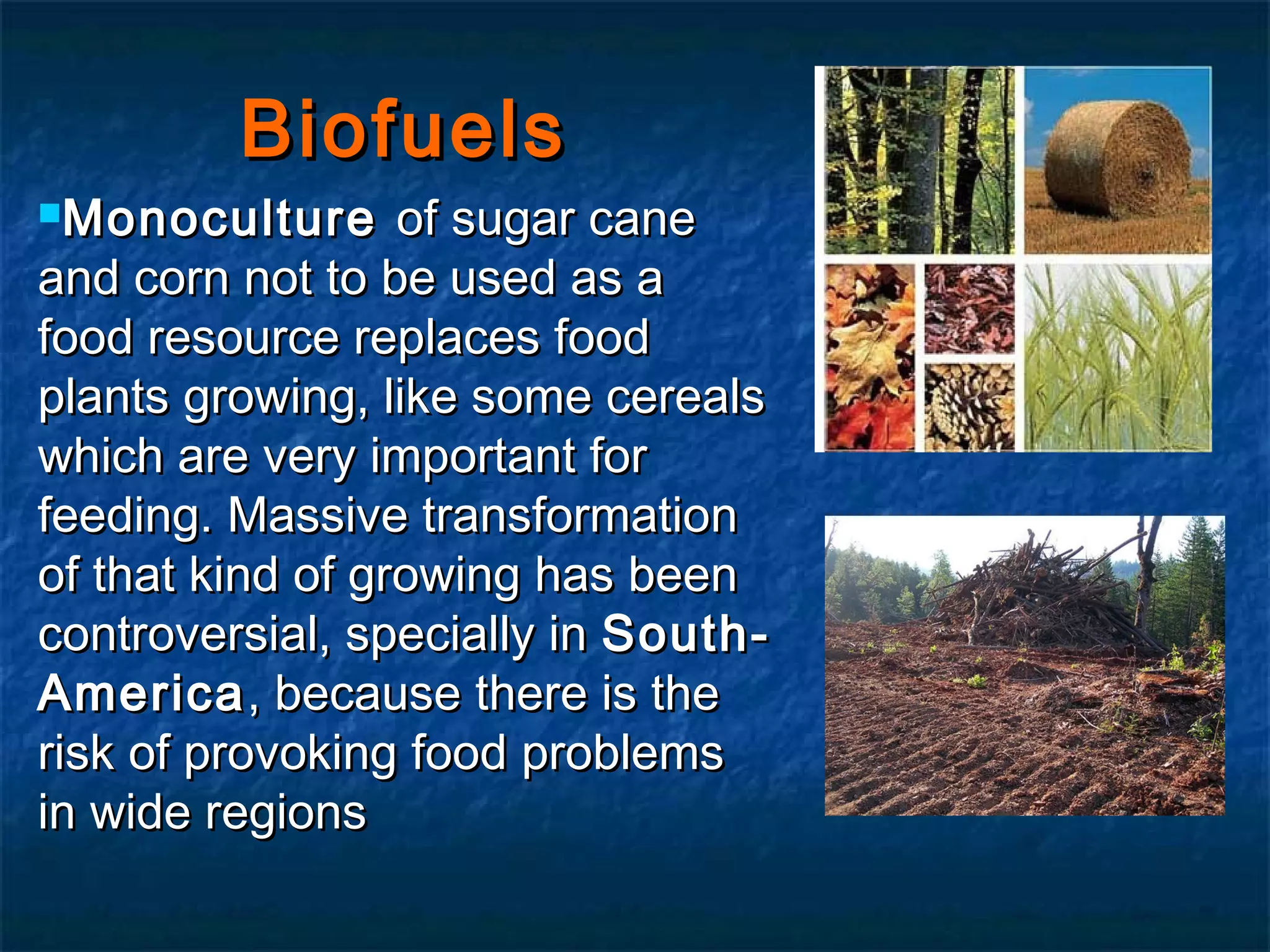 Biofuels
Monoculture

of sugar cane
and corn not to be used as a
food resource replaces food
plants growing, like some cereals
which are very important for
feeding. Massive transformation
of that kind of growing has been
controversial, specially in SouthAmerica , because there is the
risk of provoking food problems
in wide regions

 
