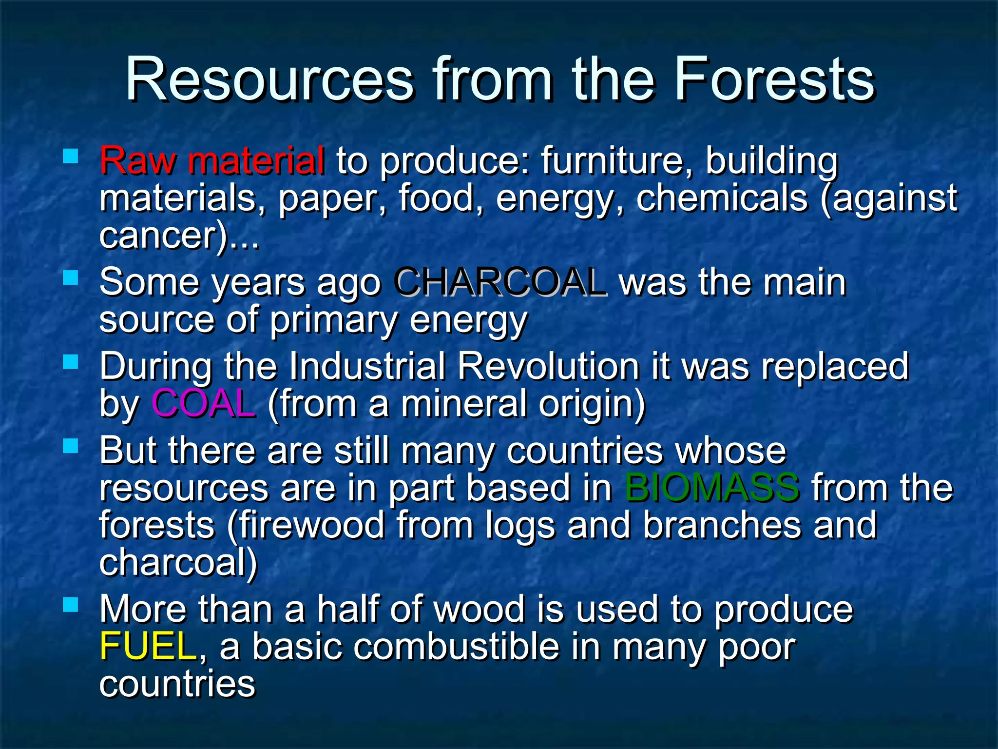Resources from the Forests








Raw material to produce: furniture, building
materials, paper, food, energy, chemicals (against
cancer)...
Some years ago CHARCOAL was the main
source of primary energy
During the Industrial Revolution it was replaced
by COAL (from a mineral origin)
But there are still many countries whose
resources are in part based in BIOMASS from the
forests (firewood from logs and branches and
charcoal)
More than a half of wood is used to produce
FUEL, a basic combustible in many poor
countries

 