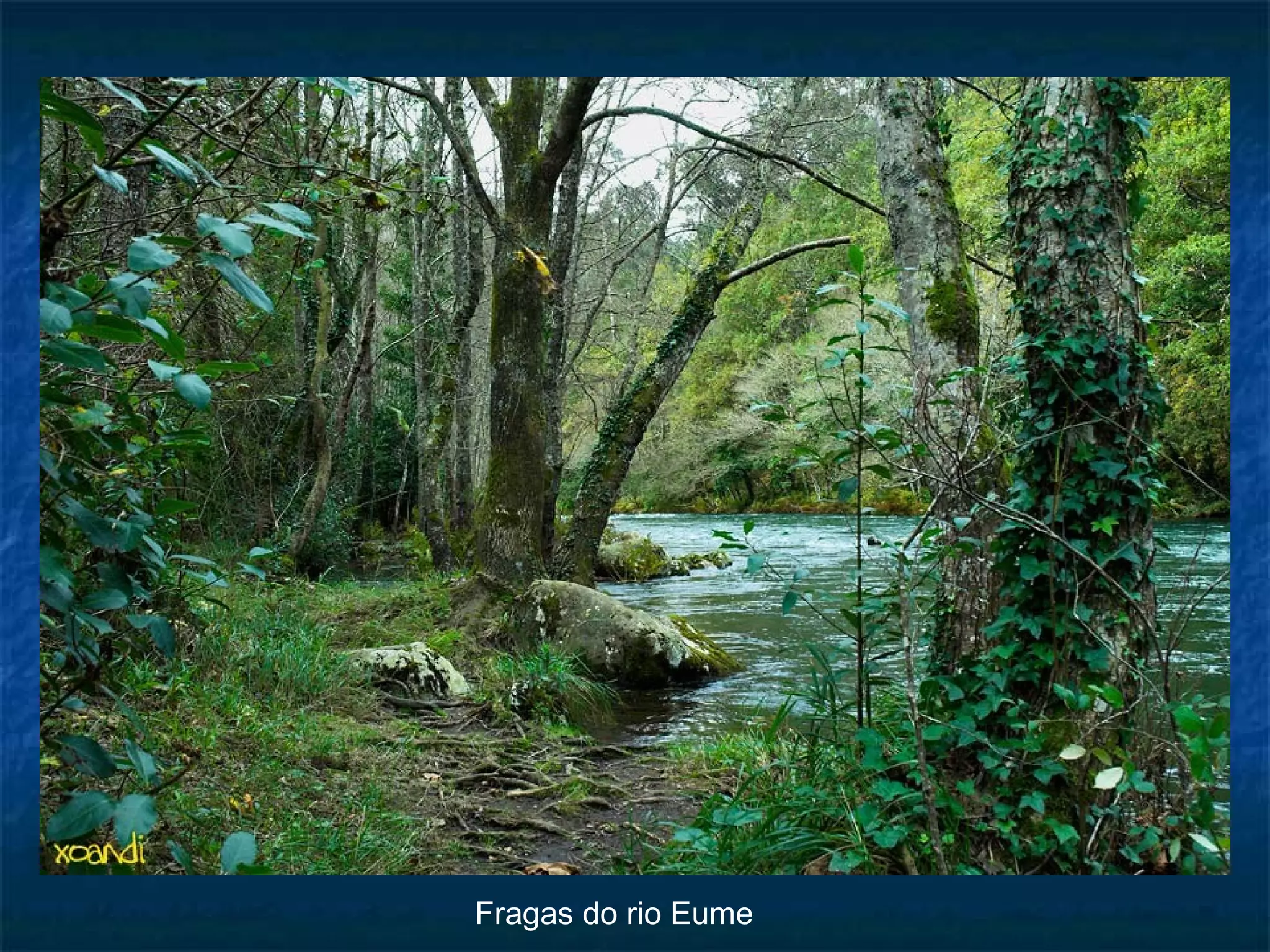 Fragas do rio Eume

 