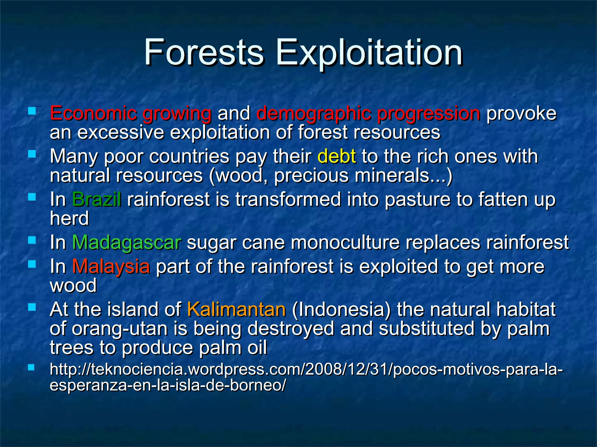 Forests Exploitation









Economic growing and demographic progression provoke
an excessive exploitation of forest resources
Many poor countries pay their debt to the rich ones with
natural resources (wood, precious minerals...)
In Brazil rainforest is transformed into pasture to fatten up
herd
In Madagascar sugar cane monoculture replaces rainforest
In Malaysia part of the rainforest is exploited to get more
wood
At the island of Kalimantan (Indonesia) the natural habitat
of orang-utan is being destroyed and substituted by palm
trees to produce palm oil
http://teknociencia.wordpress.com/2008/12/31/pocos-motivos-para-laesperanza-en-la-isla-de-borneo/

 