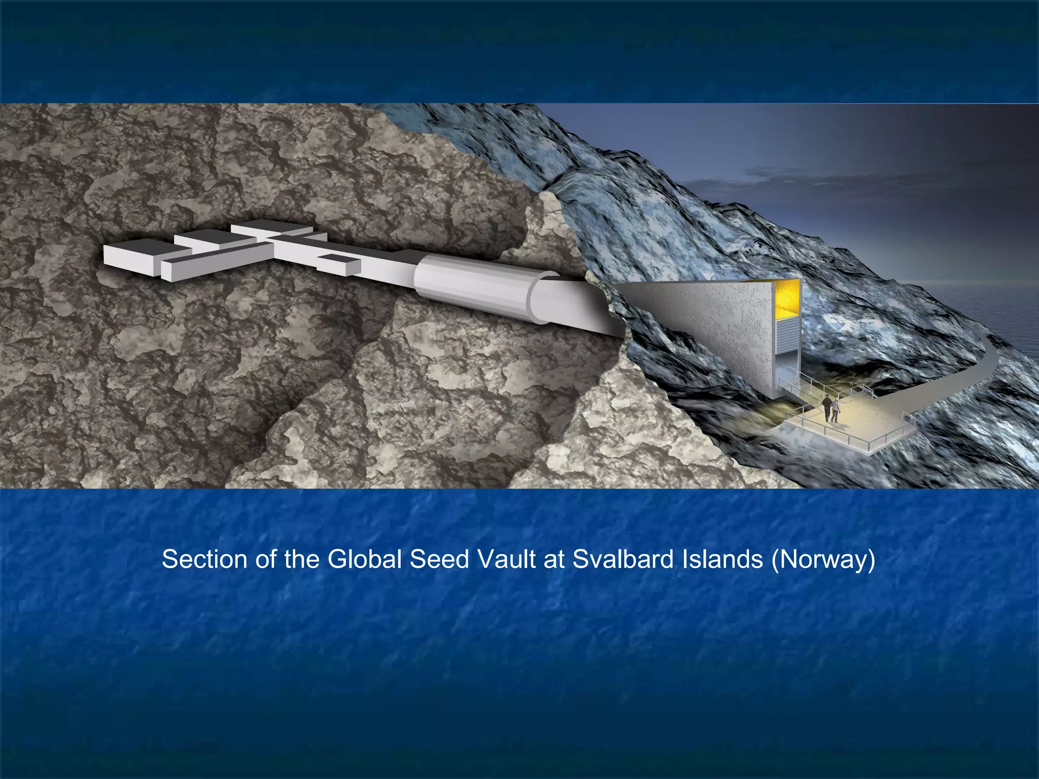 Section of the Global Seed Vault at Svalbard Islands (Norway)

 