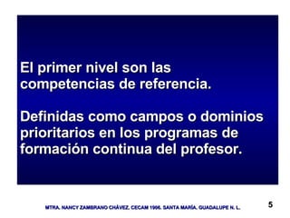 El primer nivel son las competencias de referencia.  Definidas como campos o dominios prioritarios en los programas de formación continua del profesor. 