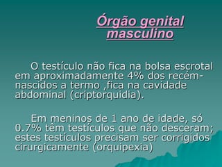 O testículo não fica na bolsa escrotal
em aproximadamente 4% dos recém-
nascidos a termo ,fica na cavidade
abdominal (criptorquidia).
Em meninos de 1 ano de idade, só
0.7% têm testículos que não desceram;
estes testículos precisam ser corrigidos
cirurgicamente (orquipexia)
Órgão genital
masculino
 