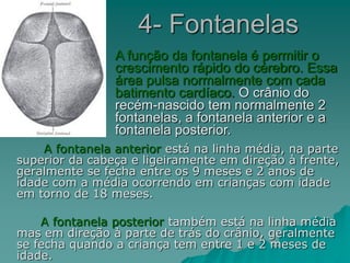 4- Fontanelas
A fontanela anterior está na linha média, na parte
superior da cabeça e ligeiramente em direção à frente,
geralmente se fecha entre os 9 meses e 2 anos de
idade com a média ocorrendo em crianças com idade
em torno de 18 meses.
A fontanela posterior também está na linha média
mas em direção à parte de trás do crânio, geralmente
se fecha quando a criança tem entre 1 e 2 meses de
idade.
A função da fontanela é permitir o
crescimento rápido do cérebro. Essa
área pulsa normalmente com cada
batimento cardíaco. O crânio do
recém-nascido tem normalmente 2
fontanelas, a fontanela anterior e a
fontanela posterior.
 