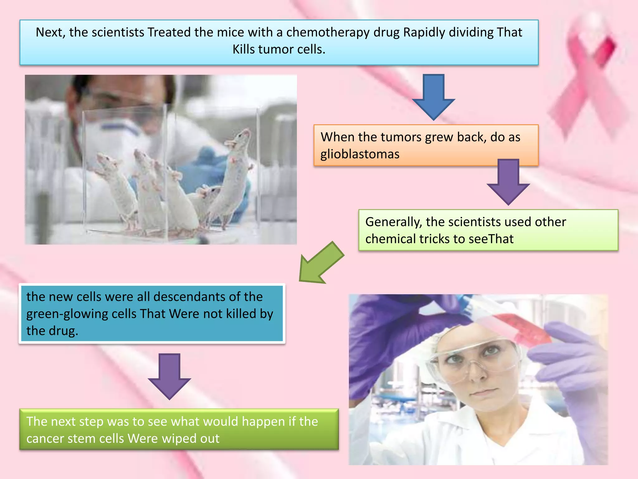 Next, the scientists Treated the mice with a chemotherapy drug Rapidly dividing That
                                    Kills tumor cells.




                                                    When the tumors grew back, do as
                                                    glioblastomas



                                                           Generally, the scientists used other
                                                           chemical tricks to seeThat



the new cells were all descendants of the
green-glowing cells That Were not killed by
the drug.




The next step was to see what would happen if the
cancer stem cells Were wiped out
 