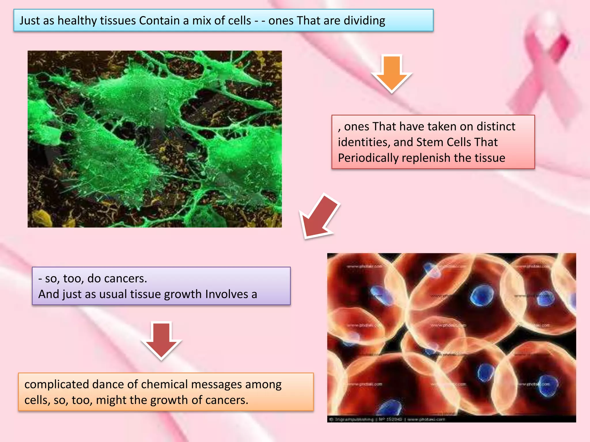 Just as healthy tissues Contain a mix of cells - - ones That are dividing




                                                               , ones That have taken on distinct
                                                               identities, and Stem Cells That
                                                               Periodically replenish the tissue




   - so, too, do cancers.
   And just as usual tissue growth Involves a




complicated dance of chemical messages among
cells, so, too, might the growth of cancers.
 