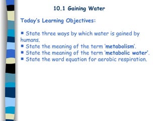 10.1 Gaining Water
Today’s Learning Objectives:
 State three ways by which water is gained by
humans.
 State the meaning of the term ‘metabolism’.
 State the meaning of the term ‘metabolic water’.
 State the word equation for aerobic respiration.
 