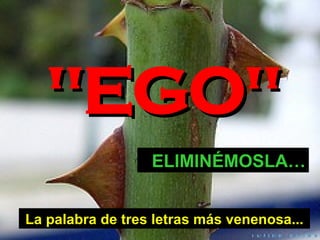La palabra de tres letras más venenosa... "EGO" ELIMIN É MOSLA… 