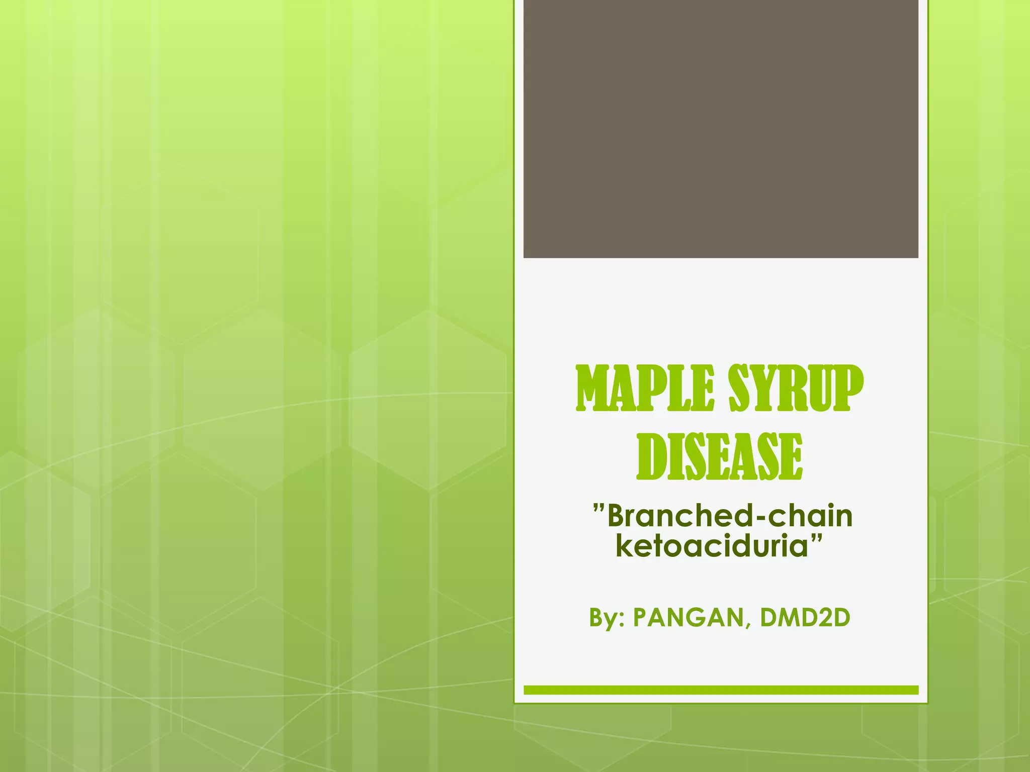 10. pangan maple syrup disease PPT