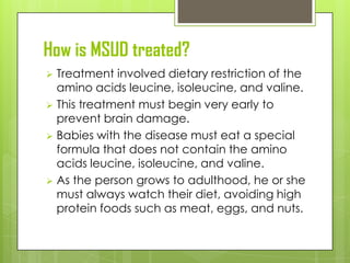 How is MSUD treated?
 Treatment involved dietary restriction of the
  amino acids leucine, isoleucine, and valine.
 This treatment must begin very early to
  prevent brain damage.
 Babies with the disease must eat a special
  formula that does not contain the amino
  acids leucine, isoleucine, and valine.
 As the person grows to adulthood, he or she
  must always watch their diet, avoiding high
  protein foods such as meat, eggs, and nuts.
 