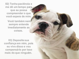 02) Tenha paciência e me dê um tempo para que eu possa compreender o que você espera de mim. Você também nem sempre entende imediatamente as coisas.  03) Deposite sua confiança em mim, pois eu vivo disso e vou compensá-lo por isso mais do que ninguém.  