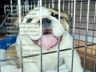 04) Nunca guarde rancor de mim se eu aprontar alguma, e não me prenda "de castigo". Você tem outros amigos além de mim, tem seu trabalho e seu lazer - mas eu só tenho você.  05) Converse comigo. Eu não entendo todas as palavras, mas me faz bem ouvir sua voz falando só para mim.  