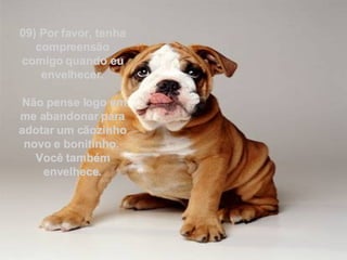 09) Por favor, tenha compreensão comigo quando eu envelhecer. Não pense logo em me abandonar para adotar um cãozinho novo e bonitinho.  Você também envelhece. 